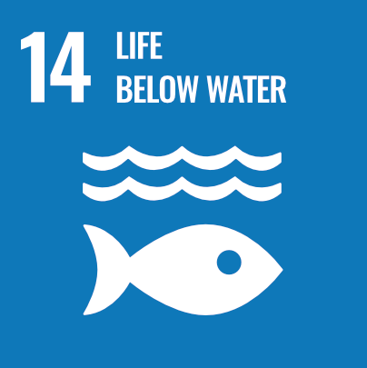 SDG 14 Life Below Water