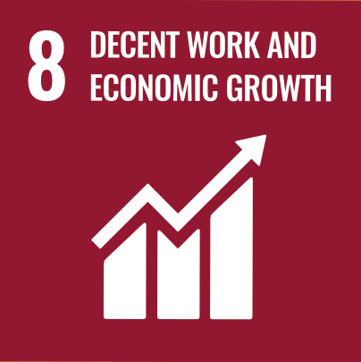 SDG 8 Decent Work and Economic Growth